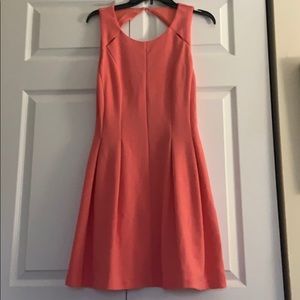Salmon Pink Knee Length Dress